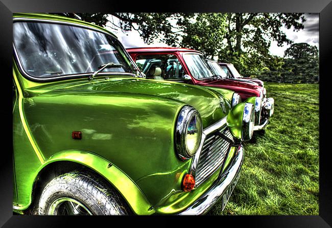 Minis Framed Print by Gavin Wilson