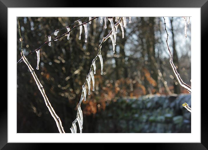 Icicles Framed Mounted Print by Gavin Wilson