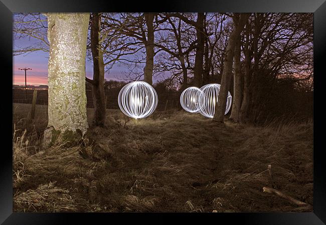 Woodland lights Framed Print by Gavin Wilson