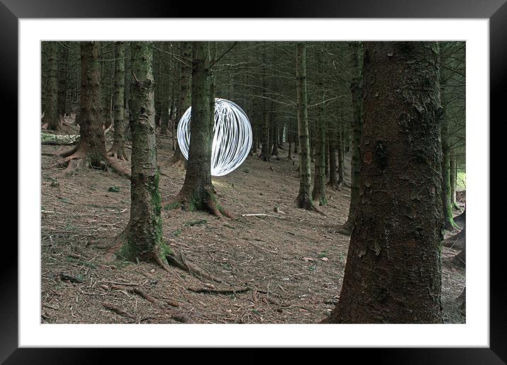 forest dreams Framed Mounted Print by Gavin Wilson