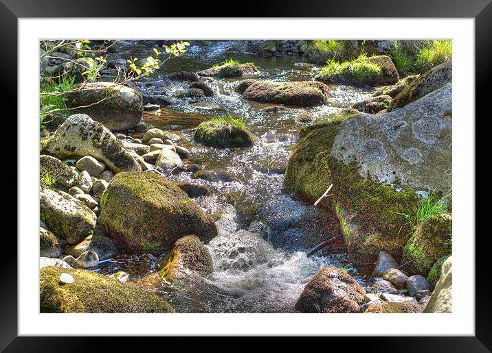 Stream in HDR Framed Mounted Print by David Yeaman