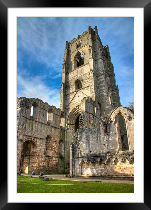 Fountains Abbey Framed Mounted Print by David Yeaman