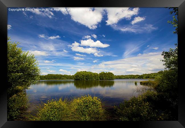 Lake at Hatfield Moor Framed Print by David Yeaman