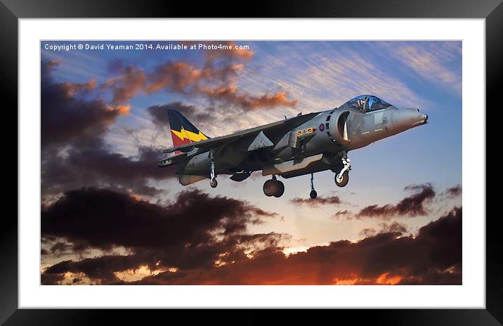  RAF Harrier GR9 Framed Mounted Print by David Yeaman