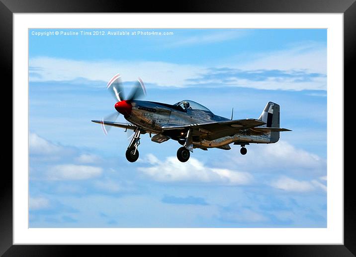 P 15D MUSTANG Framed Mounted Print by Pauline Tims