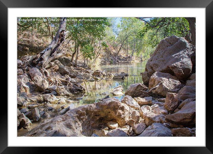 The Billabong (Water Hole) Framed Mounted Print by Pauline Tims