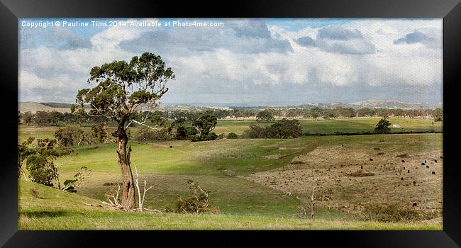 Australian landscape Kilmore 2 Framed Print by Pauline Tims