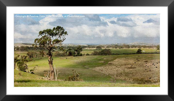 Australian landscape Kilmore 2 Framed Mounted Print by Pauline Tims