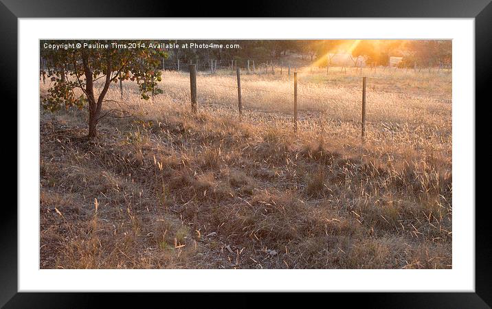 Shaft of Sunlight at Sunset Framed Mounted Print by Pauline Tims