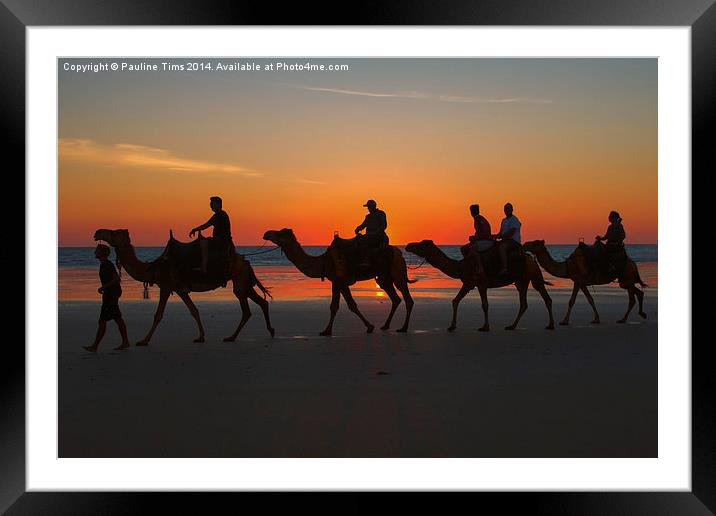 Camels on the Beach at Broome W.A Framed Mounted Print by Pauline Tims