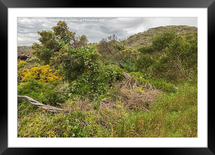  Coastal Path at Blairgowrie Framed Mounted Print by Pauline Tims