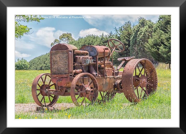  Rusty Relic 2 Framed Mounted Print by Pauline Tims
