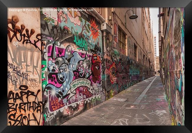 Union Lane Melbourne Graffiti  Framed Print by Pauline Tims