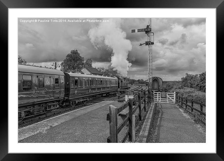 British Rail train leaving Northiam Station Susse Framed Mounted Print by Pauline Tims