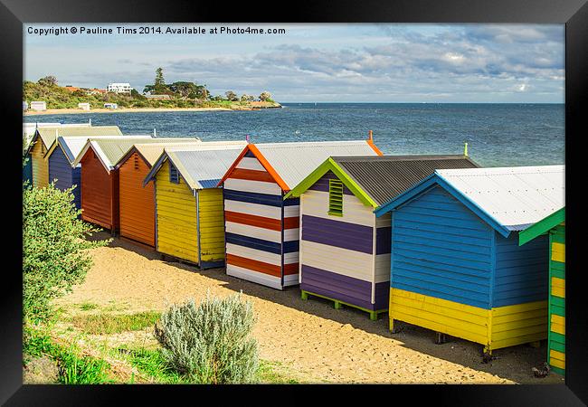  Beach Huts at Brighton Victoria Australia Framed Print by Pauline Tims