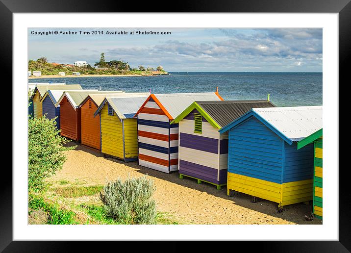  Beach Huts at Brighton Victoria Australia Framed Mounted Print by Pauline Tims