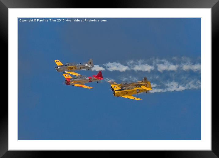 Harvards  Into the Blue Framed Mounted Print by Pauline Tims