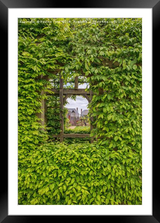 Arundel Castle , through the garden window Framed Mounted Print by Pauline Tims