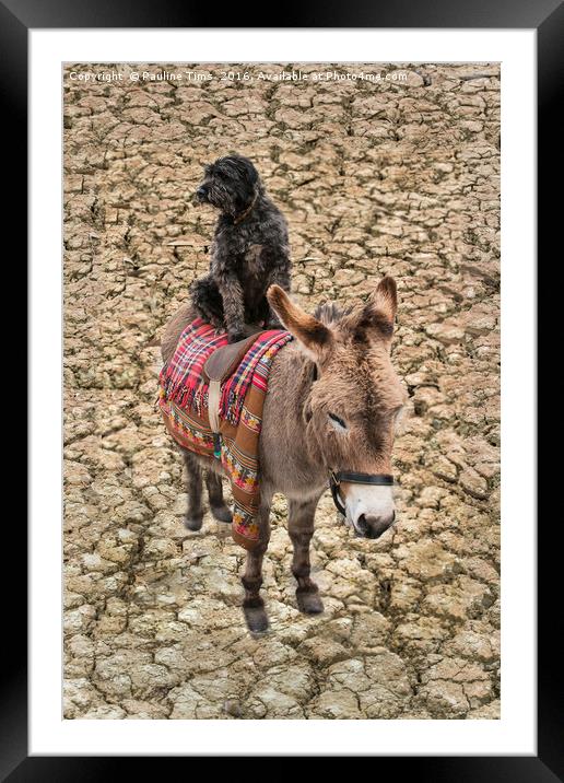 Travelling Donkey and Friend Framed Mounted Print by Pauline Tims