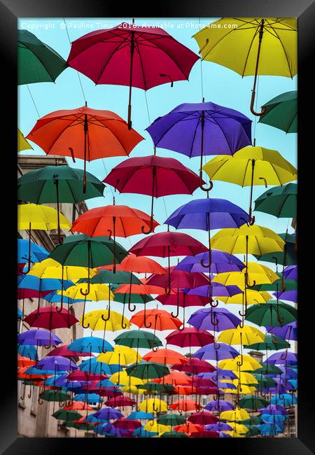 Umbrellas in Bath, UK Framed Print by Pauline Tims