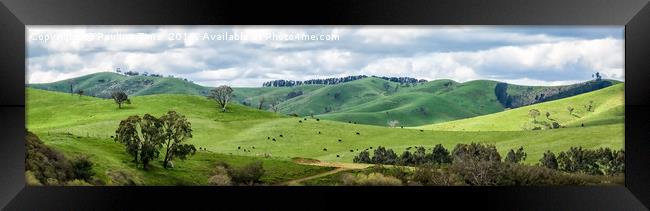 Flowerdale, Country Victoria, Australia Framed Print by Pauline Tims