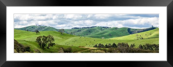 Flowerdale, Country Victoria, Australia Framed Mounted Print by Pauline Tims