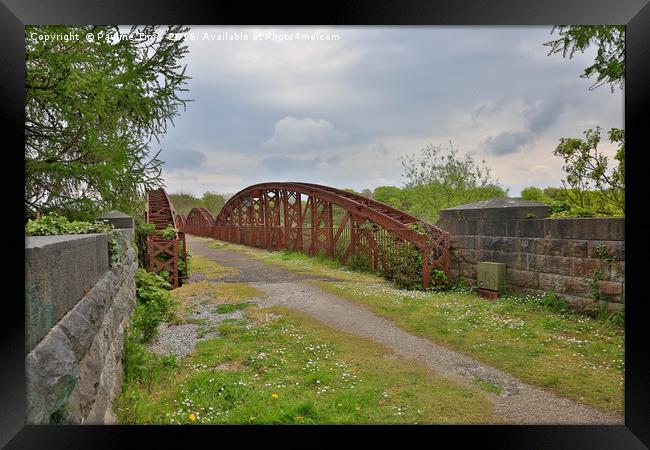 Metal bridge, Killorglin, County Kerry, Ireland Framed Print by Pauline Tims