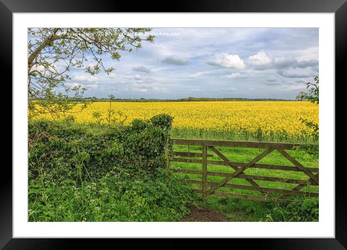 Essex Countryside Framed Mounted Print by Pauline Tims
