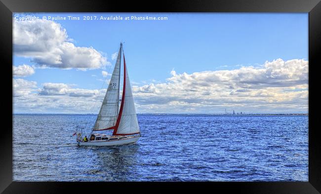 Sailing, Port Phliip Bay, Melbourne Framed Print by Pauline Tims