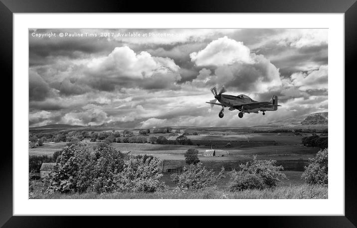 Stormy Landing Framed Mounted Print by Pauline Tims