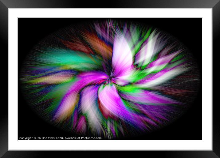 Rainbow Twirl Framed Mounted Print by Pauline Tims