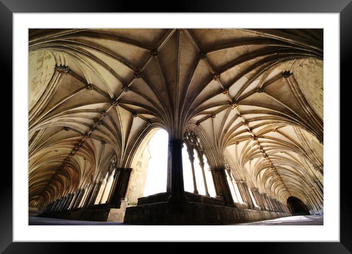 Norwich Cloisters  Framed Mounted Print by Jordan Browning Photo
