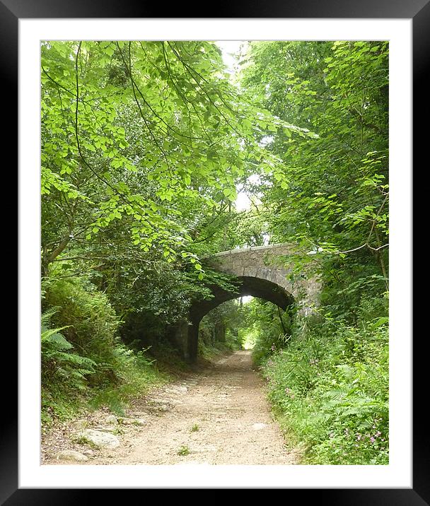 Luxulyan Valley Framed Mounted Print by Sandy Dale