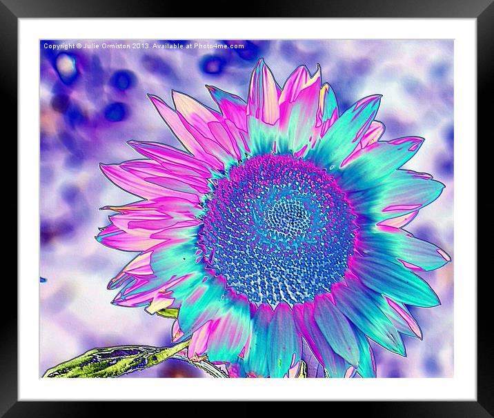 Summer Sunflower Framed Mounted Print by Julie Ormiston