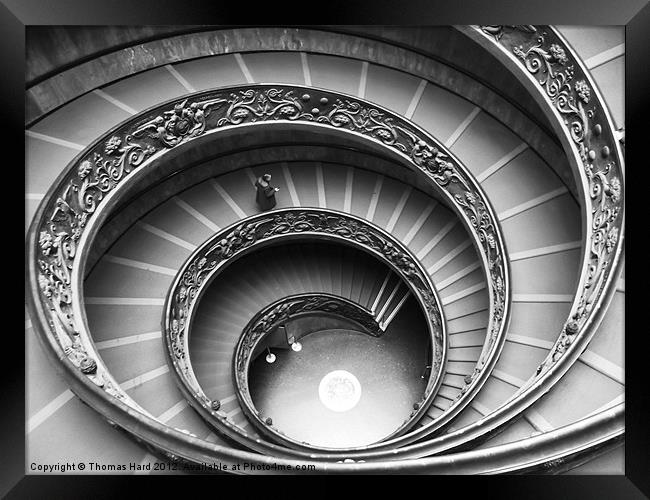 Spiral Staircase of the Vatican Museum Framed Print by Tom Hard