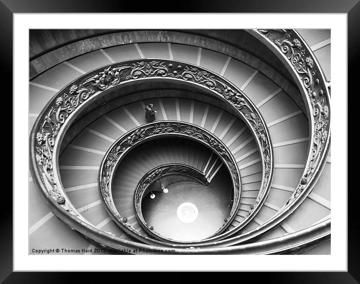 Spiral Staircase of the Vatican Museum Framed Mounted Print by Tom Hard