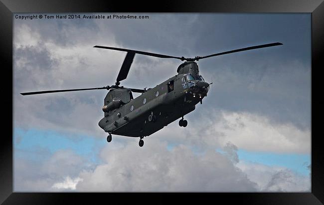  The Chinook Framed Print by Tom Hard