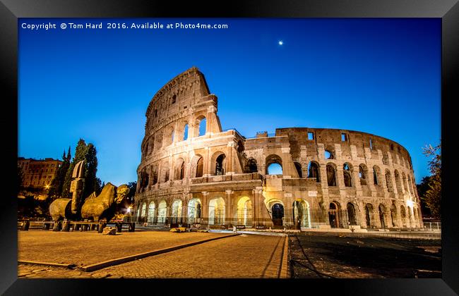 Collosseum at dawn Framed Print by Tom Hard