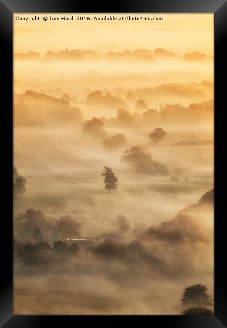 Misty Morning Framed Print by Tom Hard