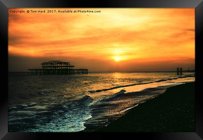 Brighton Sunset Framed Print by Tom Hard