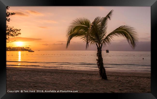 Jamaican Sunset Framed Print by Tom Hard