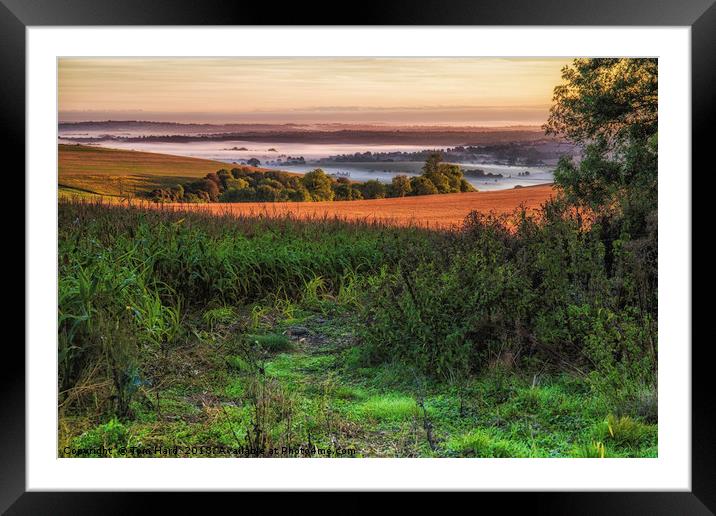 Country Colours Framed Mounted Print by Tom Hard