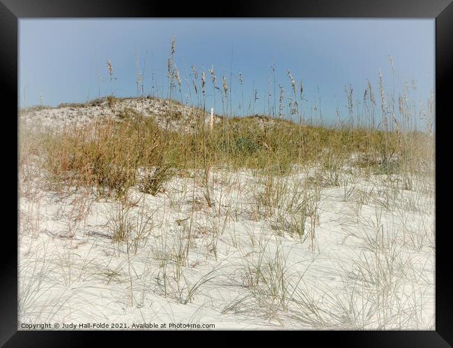 Sand and Sea Oats Framed Print by Judy Hall-Folde