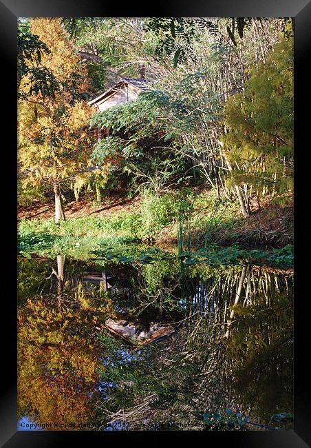Reflections of a Florida Morn Framed Print by Judy Hall-Folde