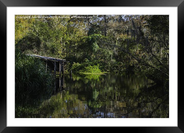 Off the Beaten Path Framed Mounted Print by Judy Hall-Folde