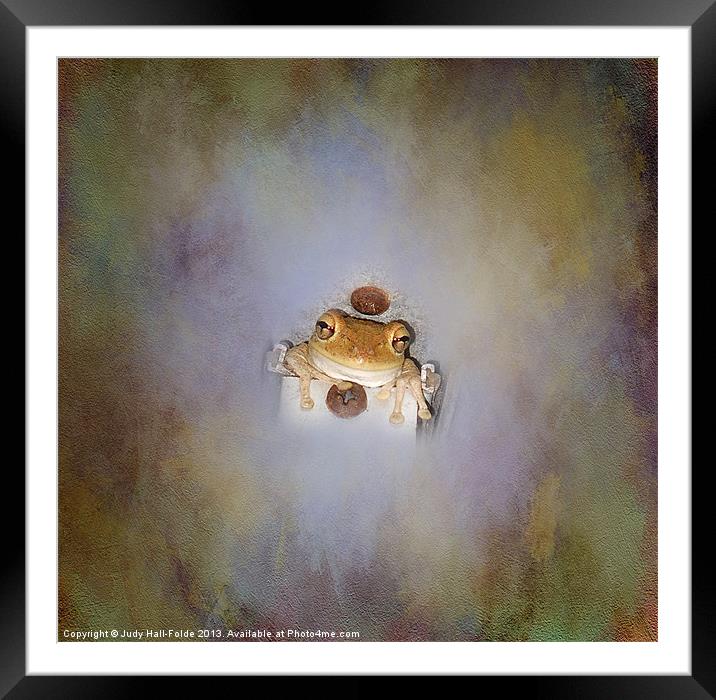 Coming out in the Open Framed Mounted Print by Judy Hall-Folde