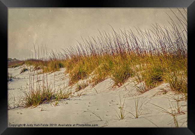 Beach Grass and Sugar Sand Framed Print by Judy Hall-Folde