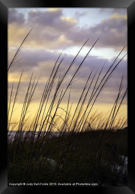 Dusk Light Framed Print by Judy Hall-Folde