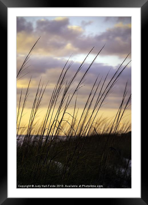 Dusk Light Framed Mounted Print by Judy Hall-Folde