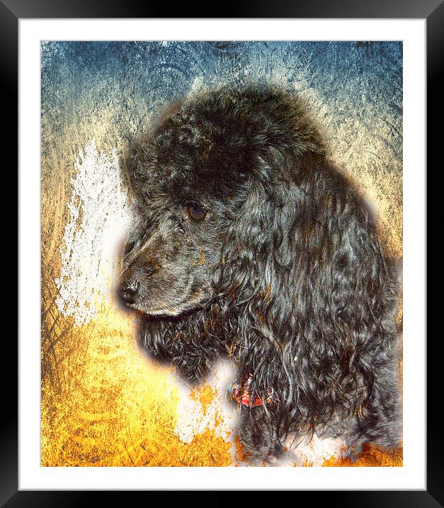 Profile of Coal Framed Mounted Print by Judy Hall-Folde